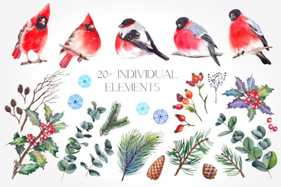 Christmas Winter Birds Illustrations: A Brand Designer’s Review